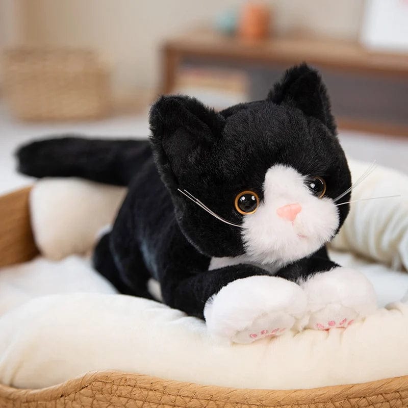 Kuscheltier Katze Schwarz weiß